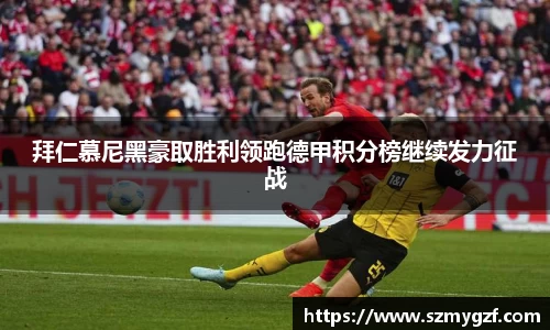 3377体育app