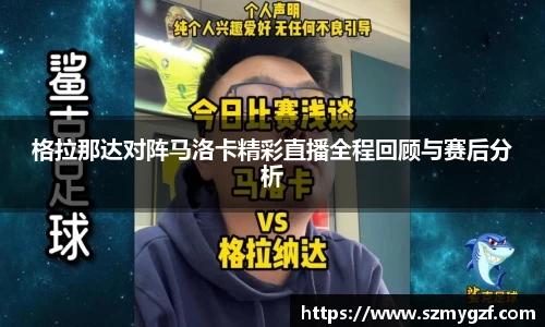 3377体育官网