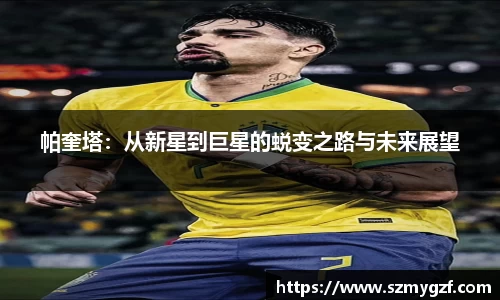 3377体育官网