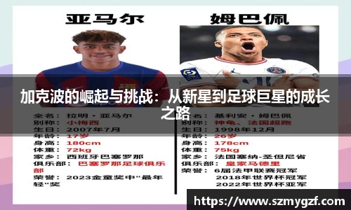 3377体育app