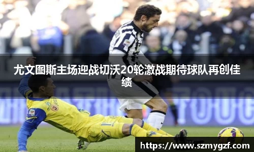 3377体育官网