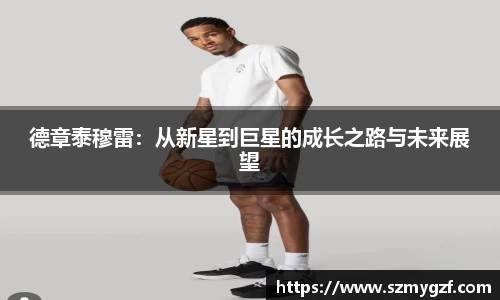 3377体育