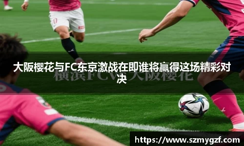 3377体育官网