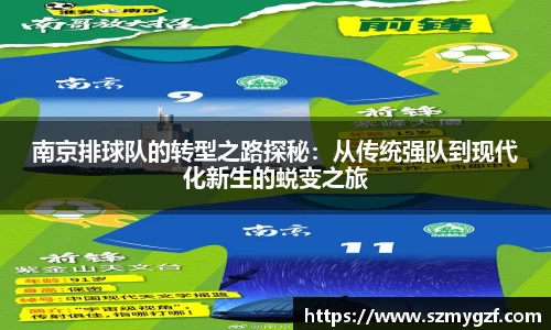 3377体育