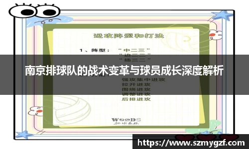 南京排球队的战术变革与球员成长深度解析